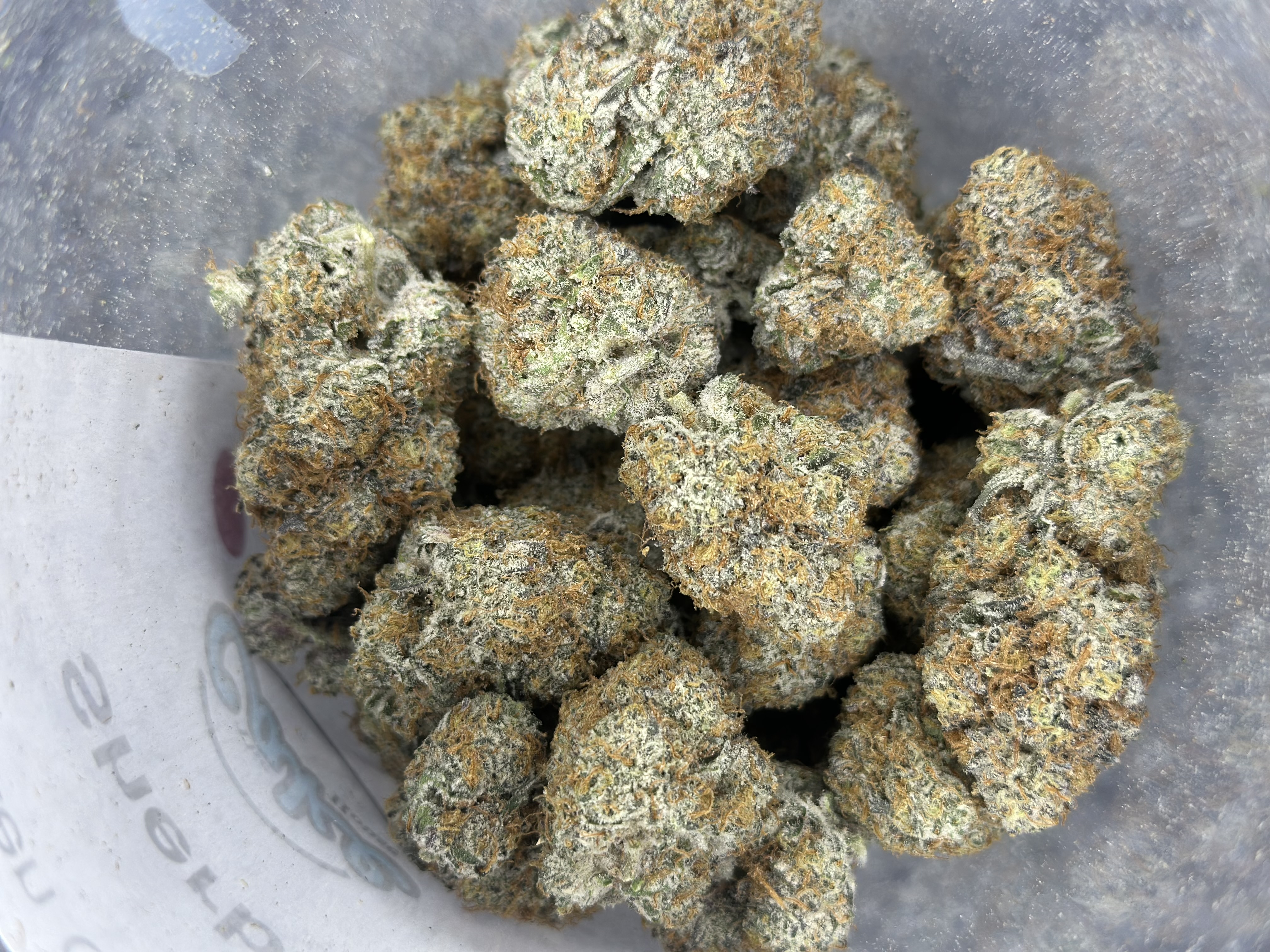 Mitten Canna - Sherbz