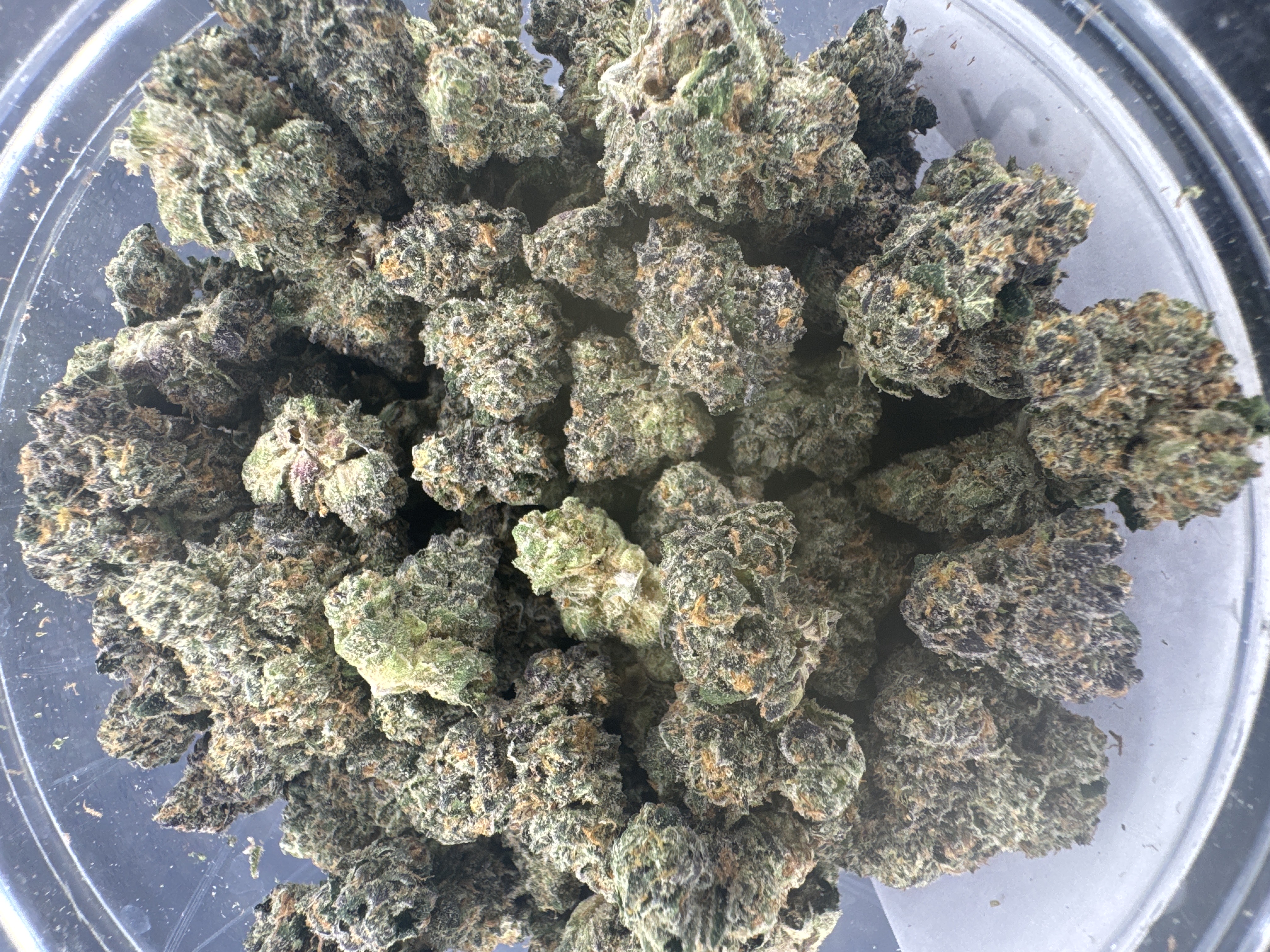 MICHIGROWN- BISCOTTI