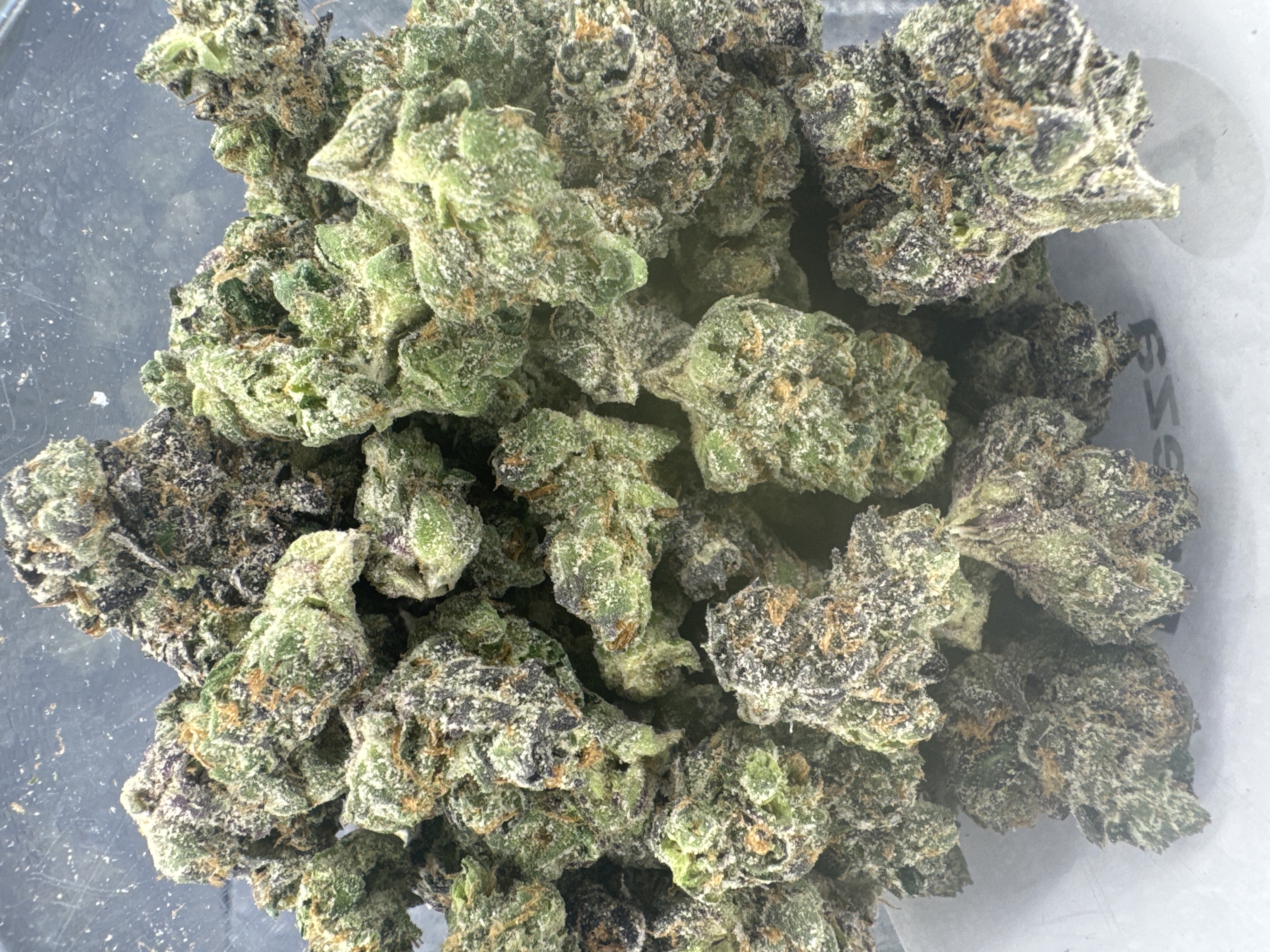 MICHIGROWN- FRIEZA