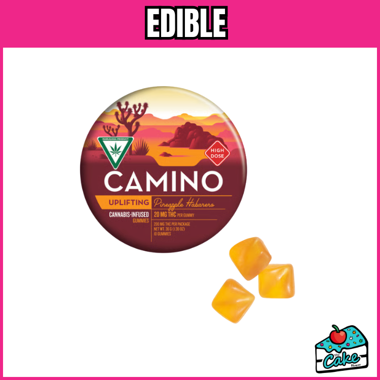 CAMINO 200MG GUMMIES 10 PACK - PINEAPPLE HABANERO