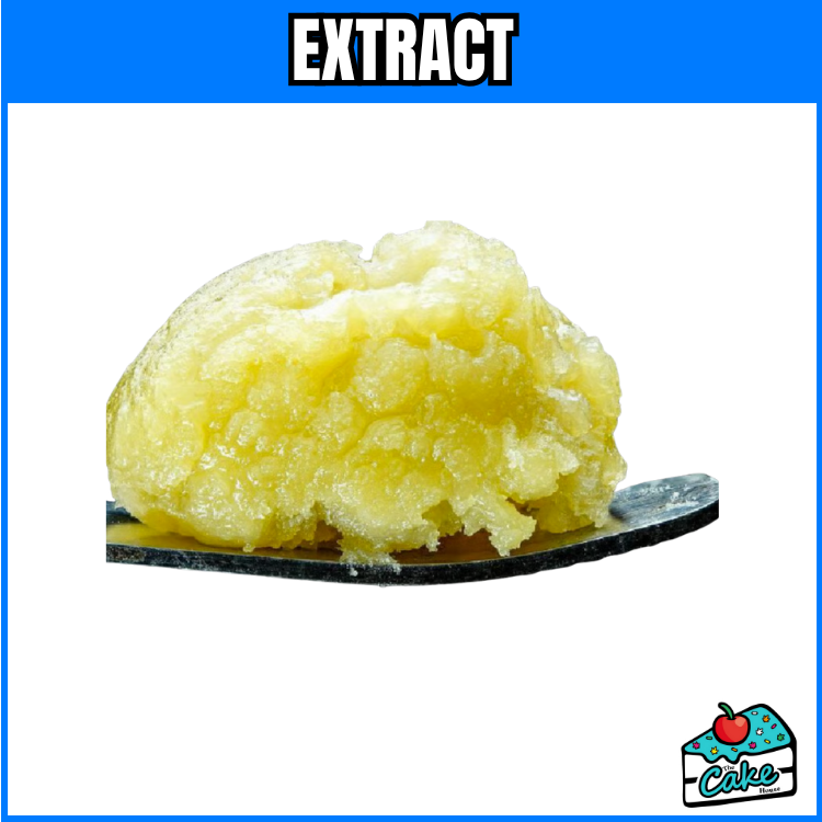 WOJO 1G LIVE ROSIN- THE CANDY