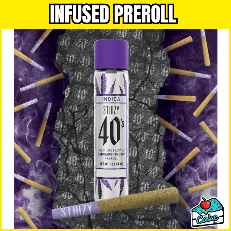 STIIIZY 1G INFUSED PREROLL WATERMELON Z