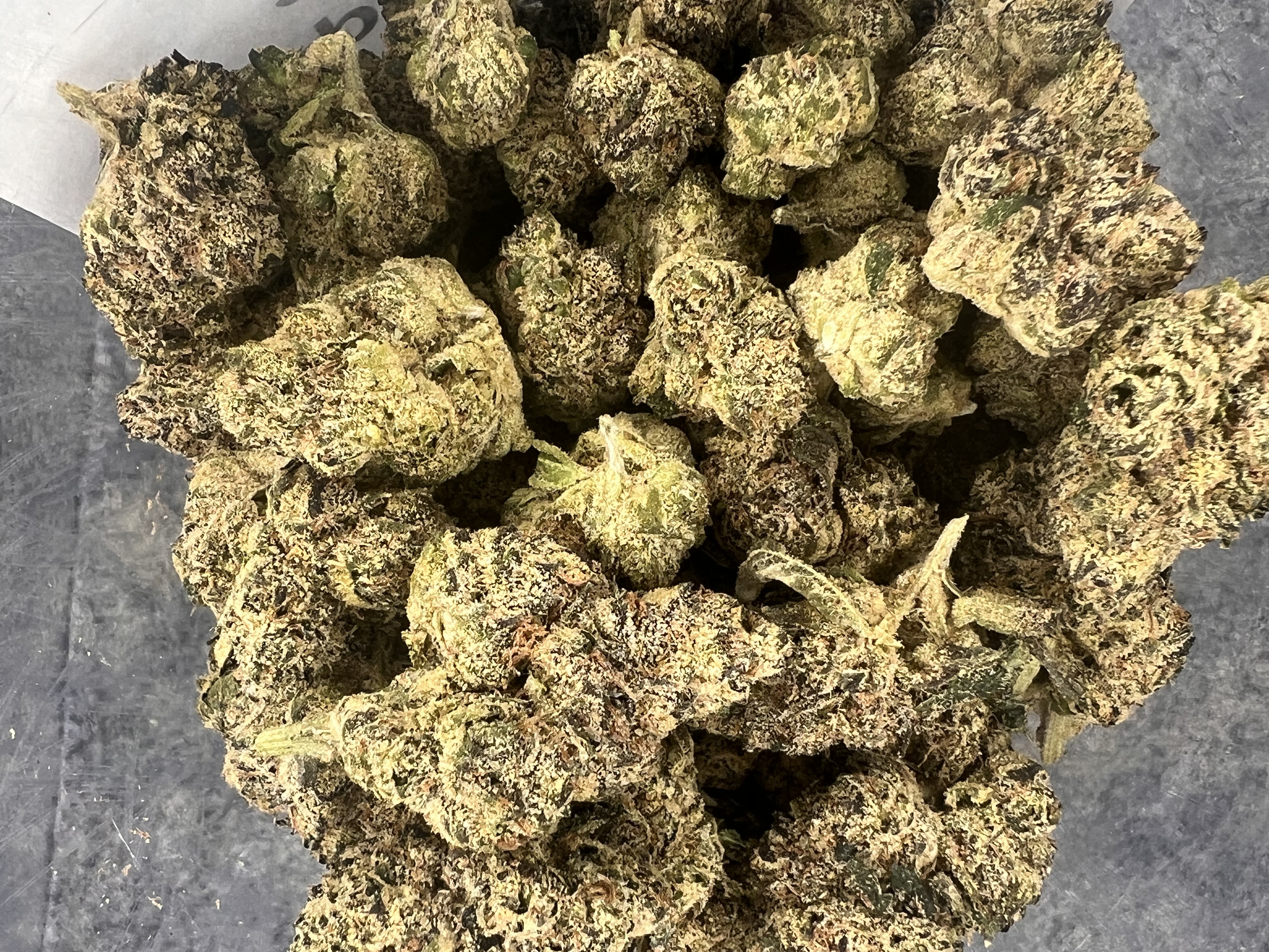 Pleasantrees - Galactic Warheadz