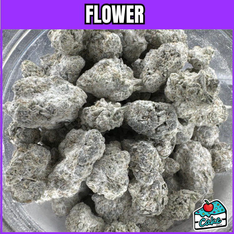 FRESH CANNA SNOWCAPS- BLUEBERRY