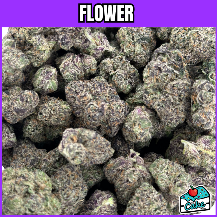 SEED JUNKY - POPZ 41