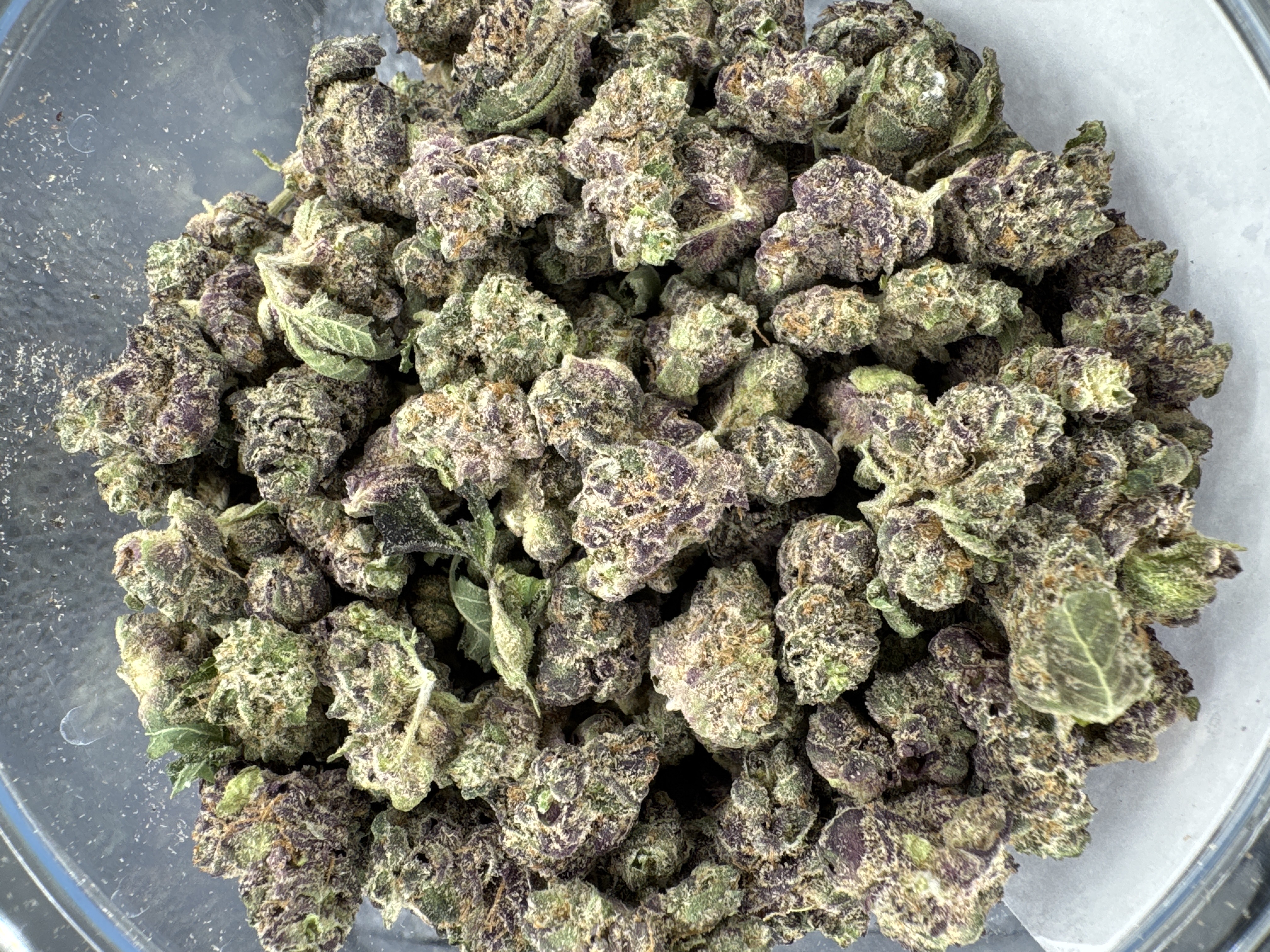 HARBOR FARMZ- SUPER SECRET