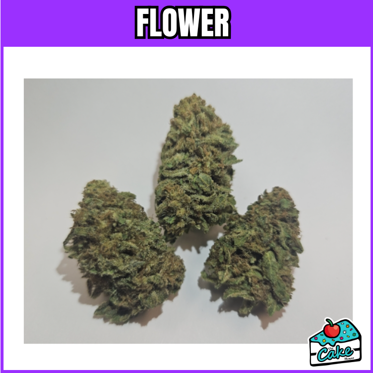 OCEANA GARDENS - GARLIC BUDDER