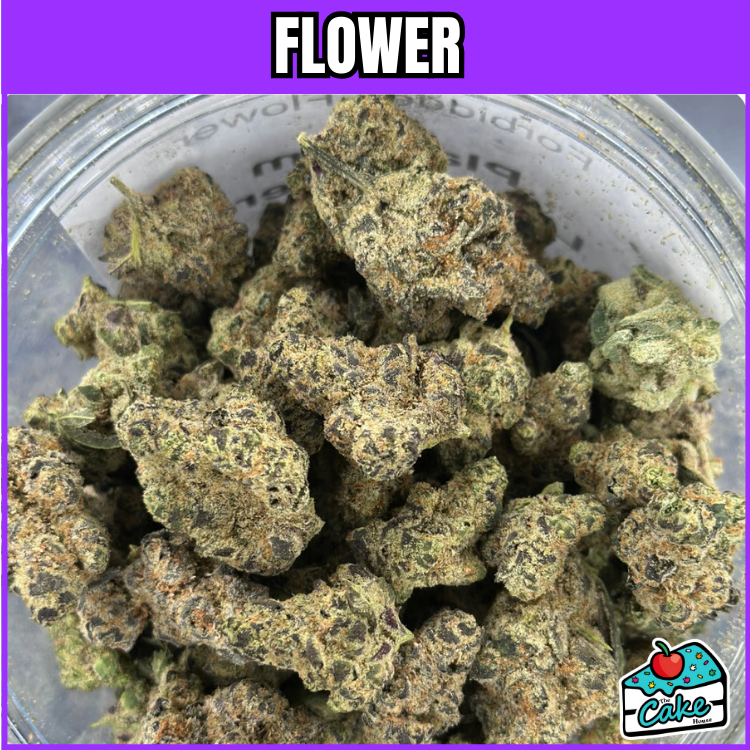 FORBIDDEN FLOWER - PLATINUM LEMON CHERRY GELATO