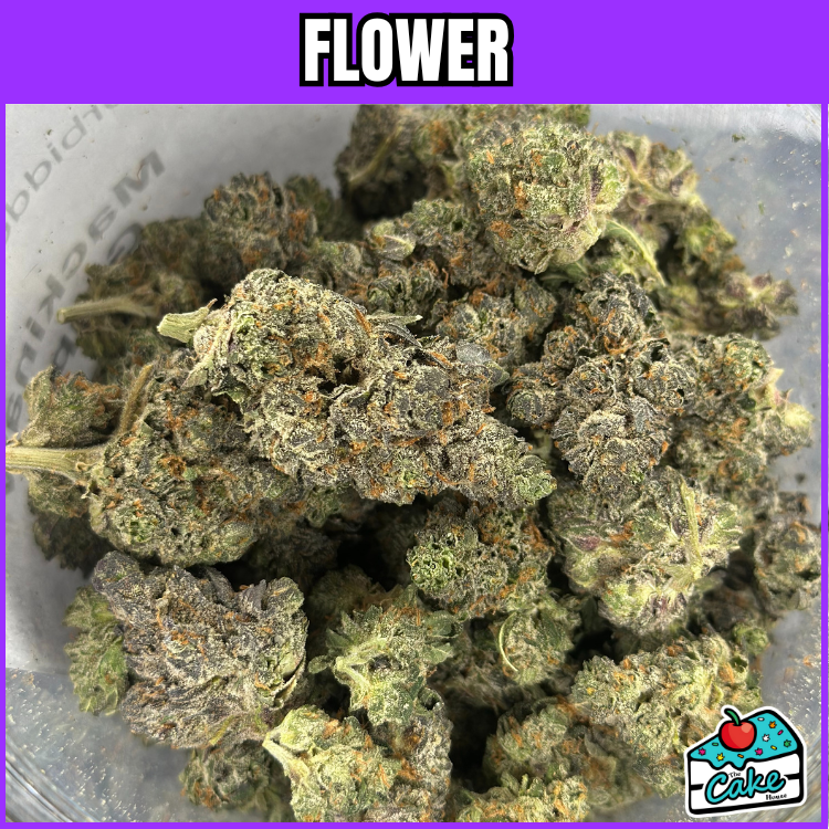FORBIDDEN FLOWER - MACKINAW GRAPE
