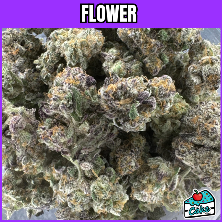 PRO GRO- GELATO #41