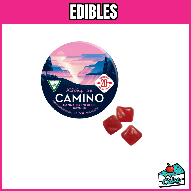 CAMINO 200MG GUMMIES 10 PACK- WILD BERRY