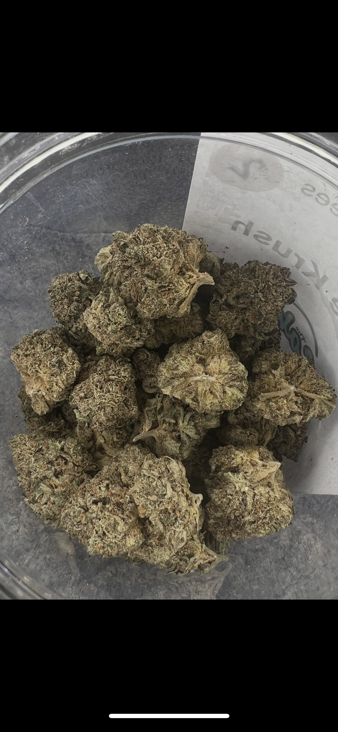 Pleasantrees - Grape Krush