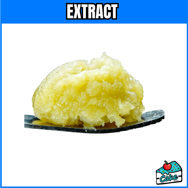 WOJO 1G LIVE ROSIN- THE WOAH