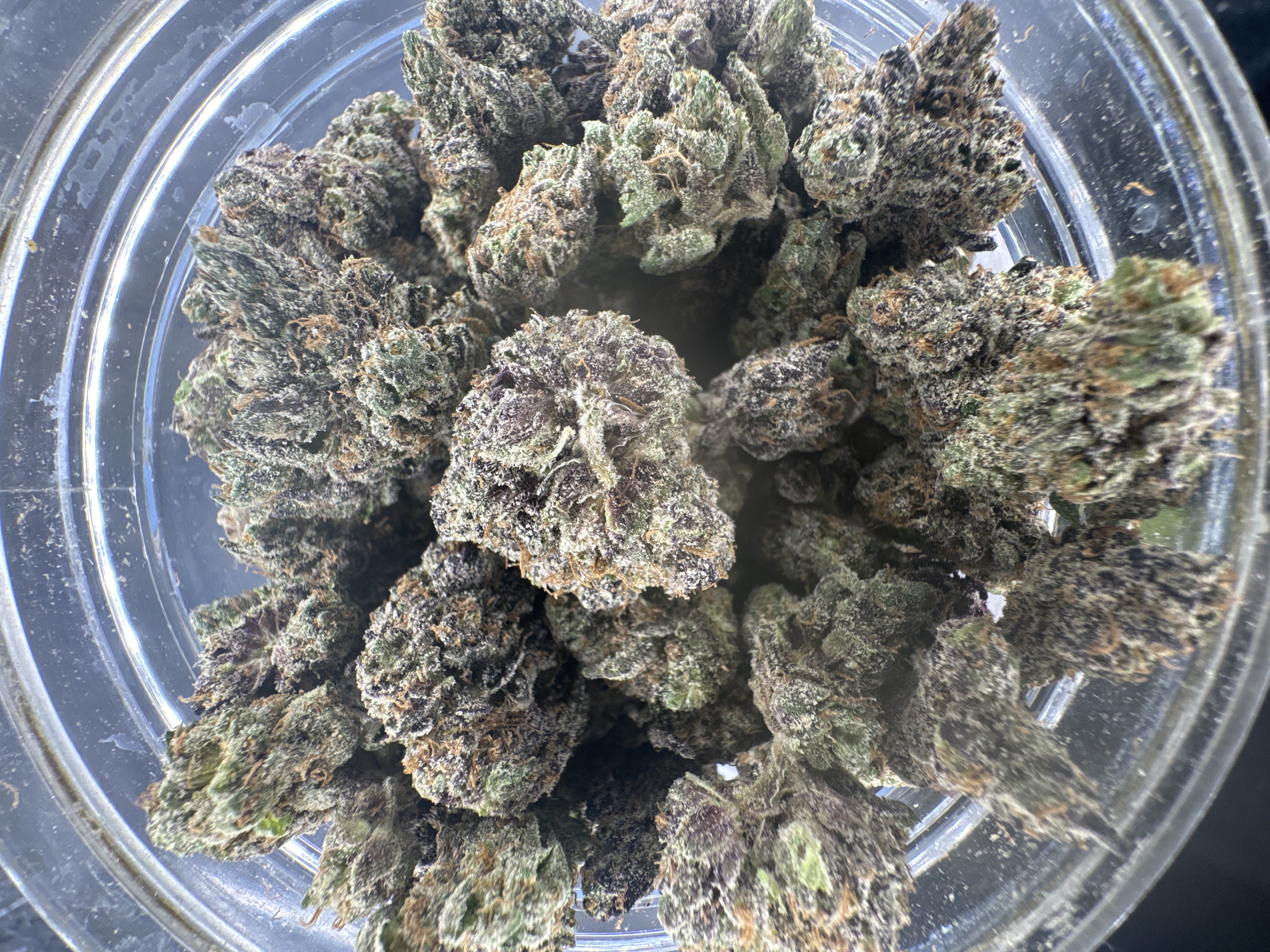 MICHIGROWN- F.A.H REAL