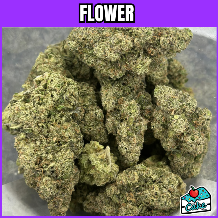 DNK - FLORIDA KUSH