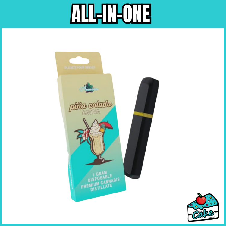 AMNESIA 1G DISPOSABLE- PINA COLADA