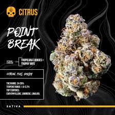BOSKY - POINT BREAK  - FLOWER - [H] - 14 g