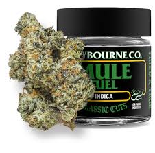 Claybourne - Mule Fuel - Flower - [I] - 3.5 g