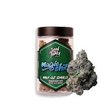 Seed Junky - Magic Shotz - Flower - [H] - 14 g