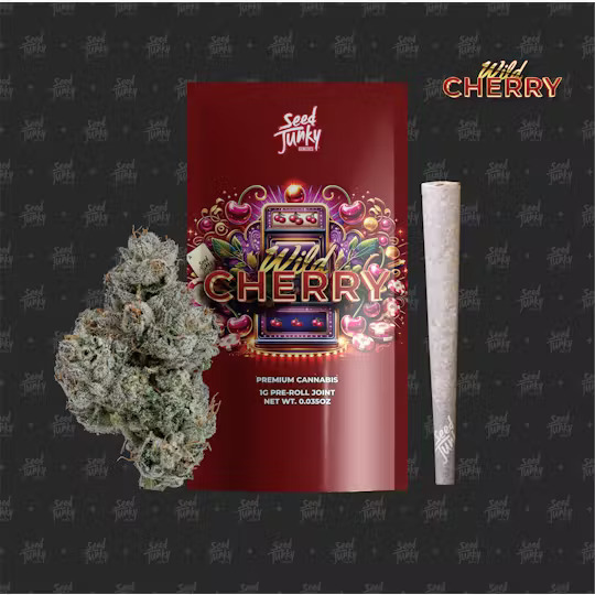 Seed Junky - Wild Cherry - 1G - Preroll [I]