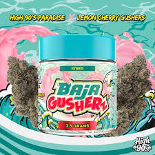 High 90's - Baja Gusherz - Flower - [H] - 3.5 g