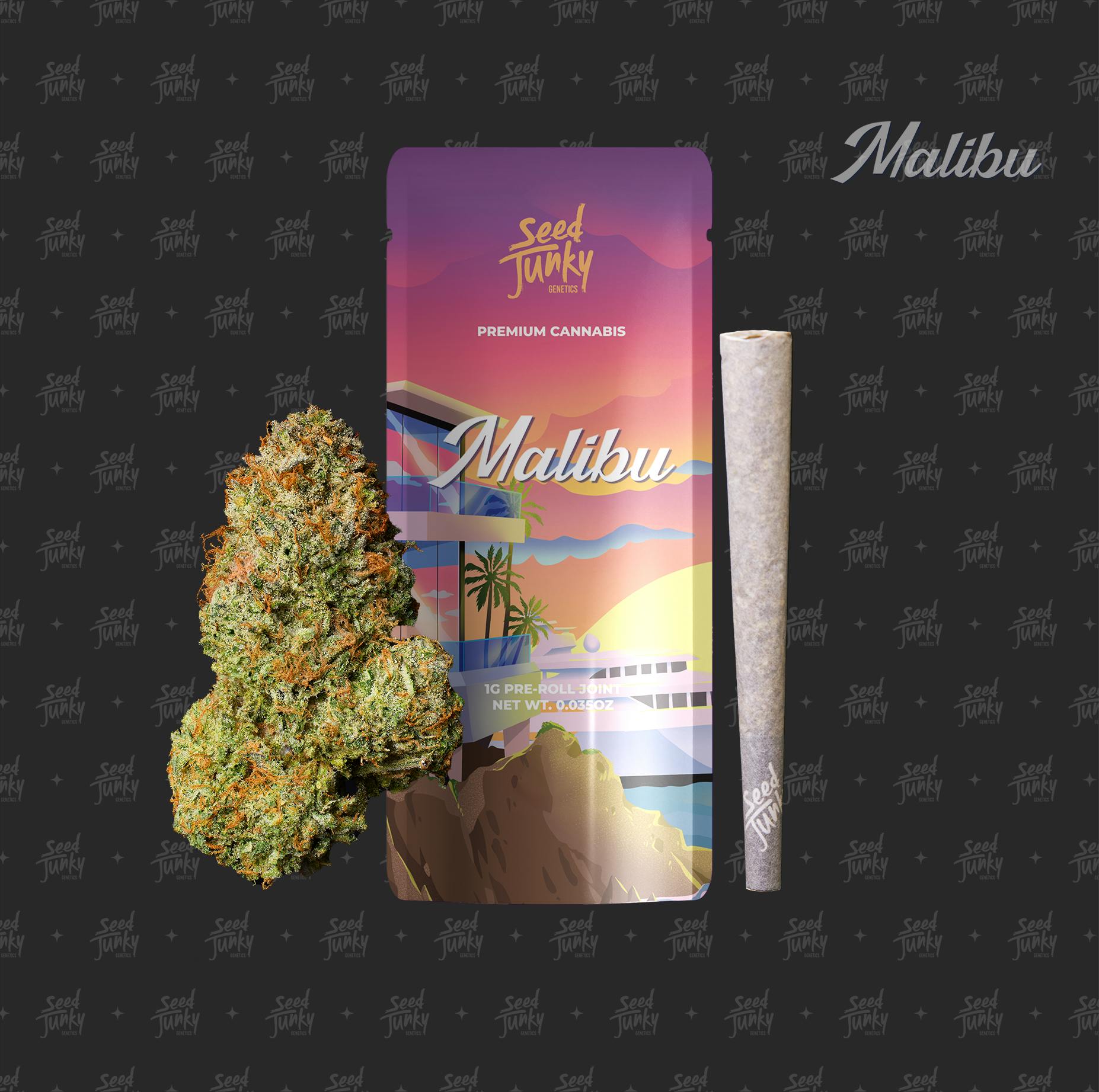 Seed Junky - Malibu - 1G - Preroll [H]