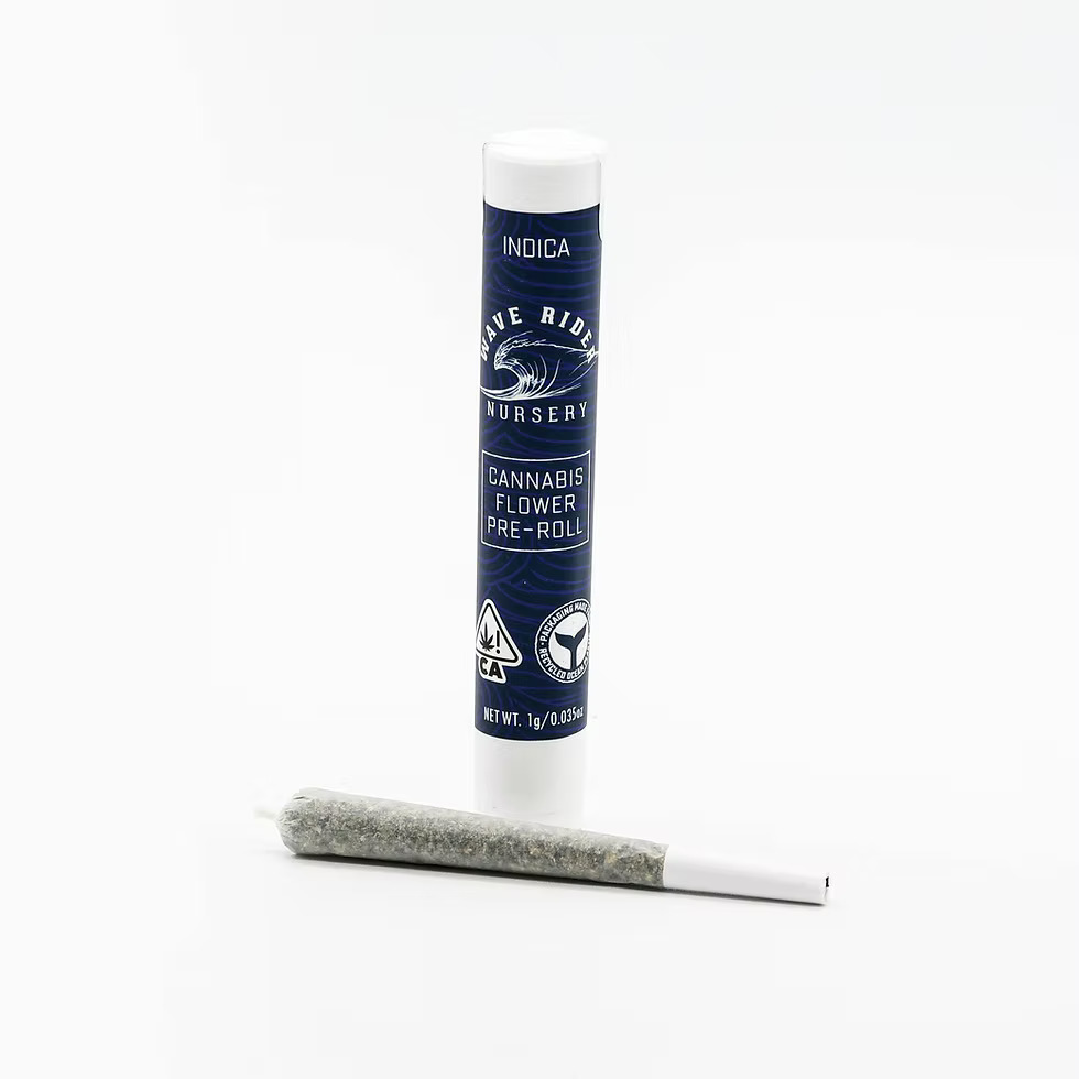 Wave Rider - Biscotti Mintz - Pr - [I] - 1 g
