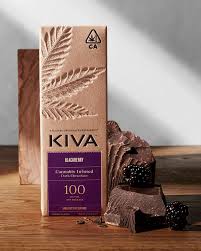 Kiva - Blackberry - Chocolate Bar - 100MG [I]