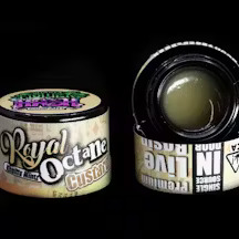SHASTA - ROYAL OCTANE CUSTARD - 1G ROSIN - [H]