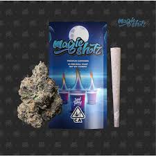 Seed Junky - Magic Shotz - Preroll - [H] - 1 g
