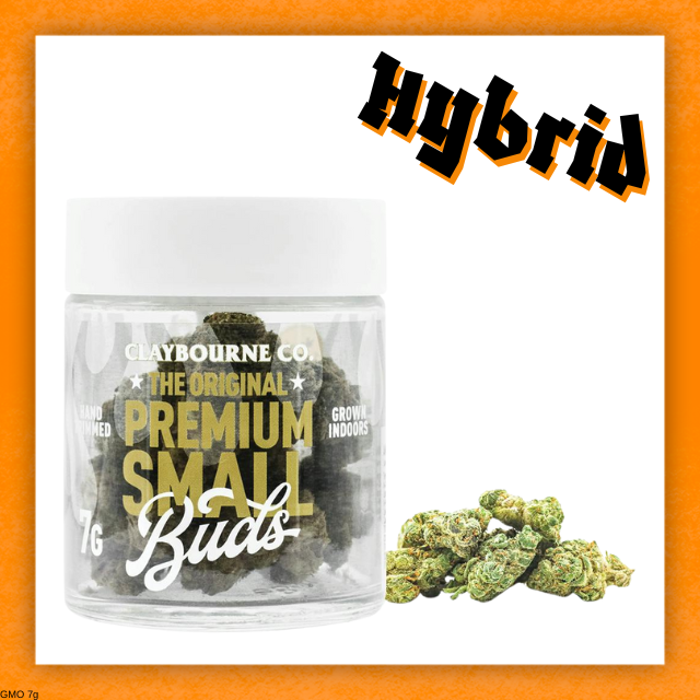Claybourne - GMO - 7g Flower [H]