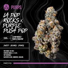 BOSKY - LA POP ROCKS X PURPLE P.P. - FLOWER - [H] - 14 g