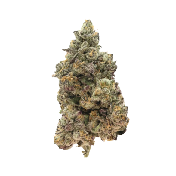 710 LABS - RICK JAMEZ #3