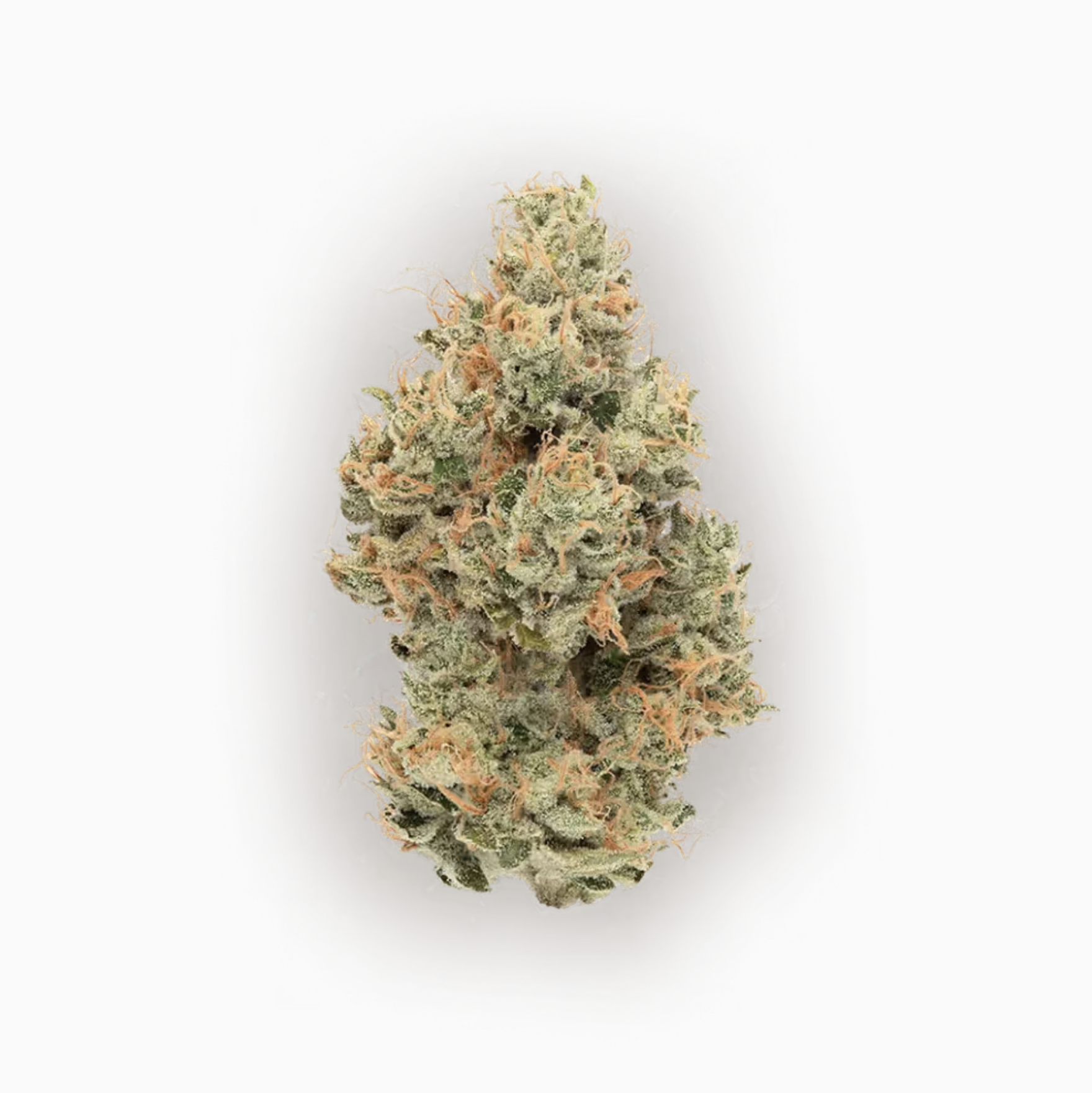 CBX - TROPICANNA - FLOWER 3.5G