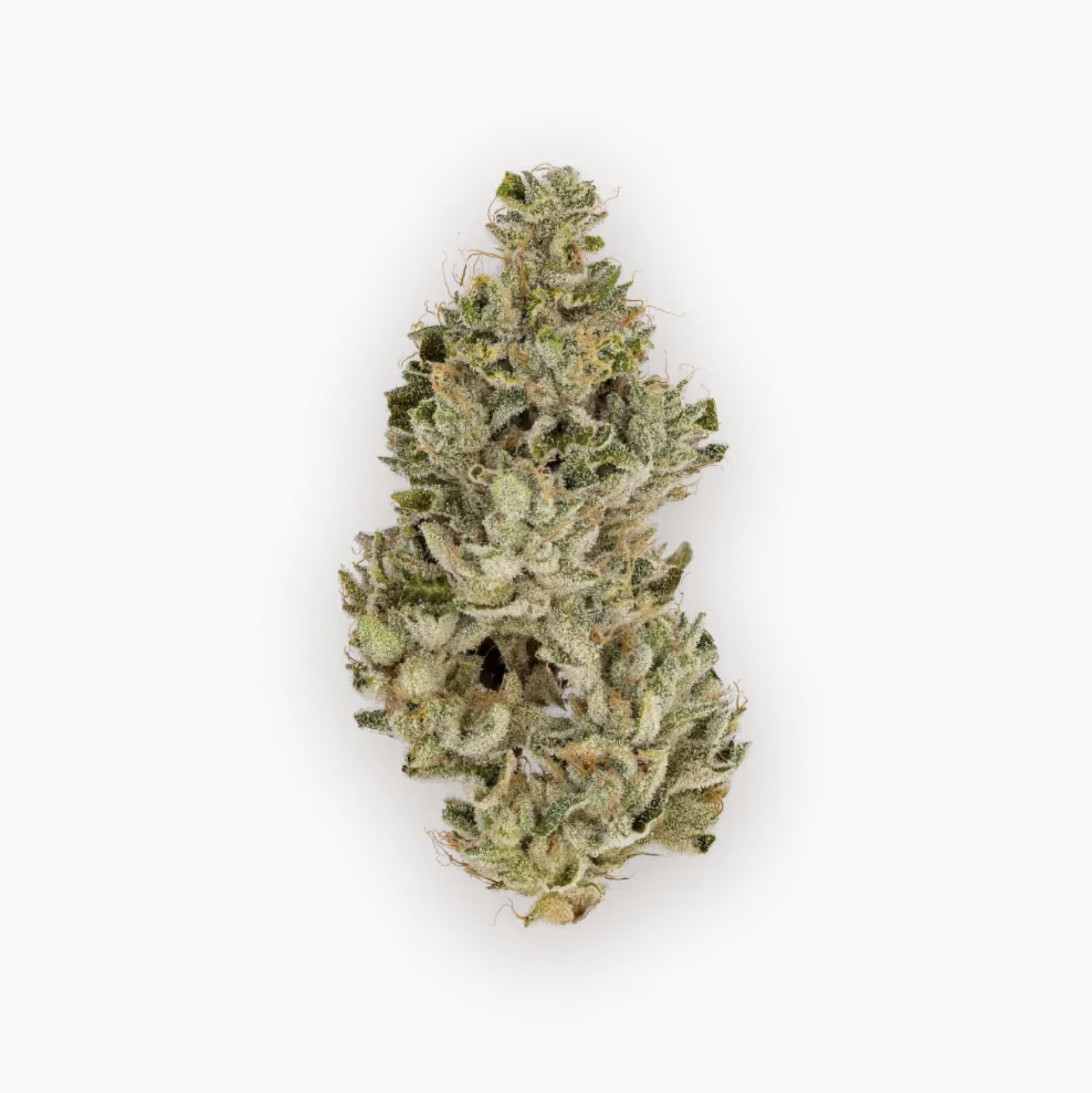 CBX - SUBLIME LIME - FLOWER 3.5G