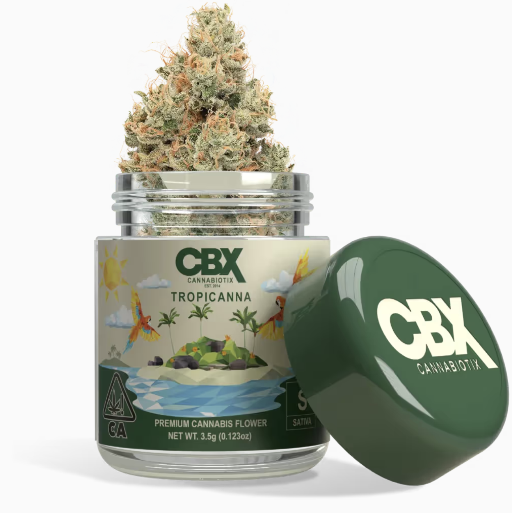 CBX - TROPICANNA - FLOWER 3.5G