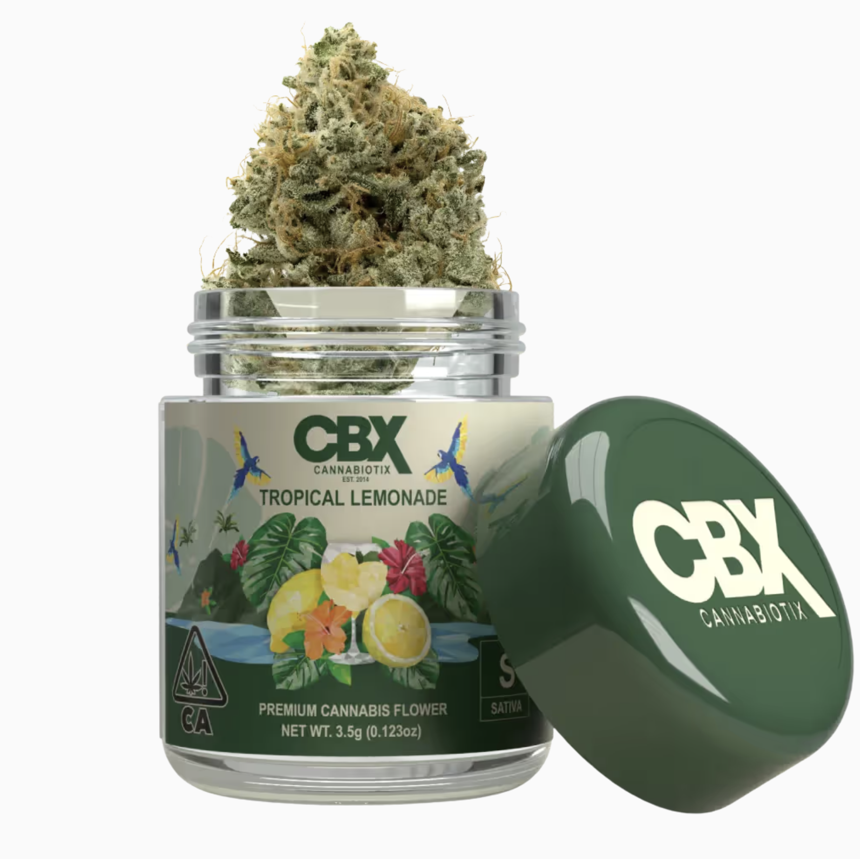 CBX - TROPICAL LEMONADE - FLOWER 3.5G