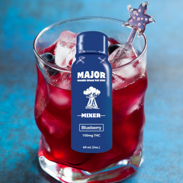 MIXER | BLUEBERRY