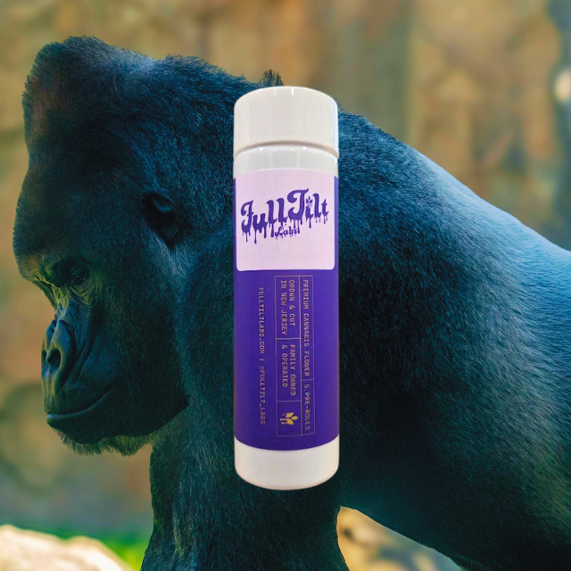 PREROLL | ZUBAI | 5-PACK | 2.5G