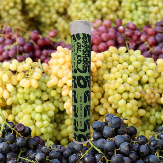 DISPOSABLE | GRAPE APE | 1G