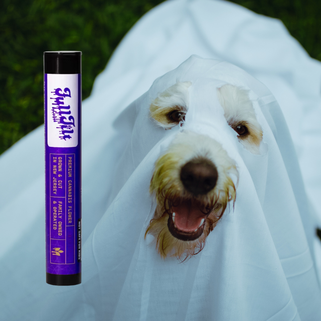 PREROLL | CRIPPY DOG | 2-PACK | 1G