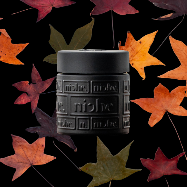FLOWER | BLACK MAPLE 22 | 3.5G