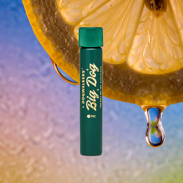 PREROLL | LEMON DRIP | 1G