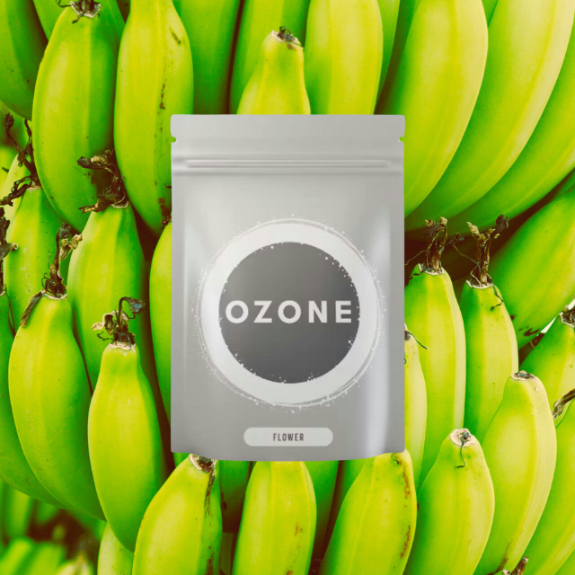 LITTLES | MODIFIED BANANAS | 7G