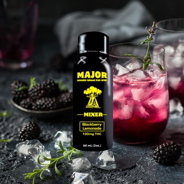 MIXER | BLACKBERRY LEMONADE