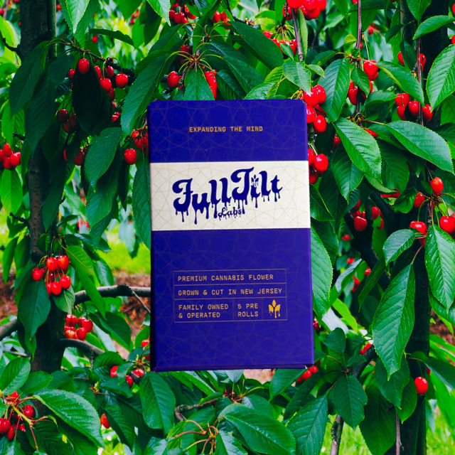 PREROLL | BLACK CHERRY PUNCH | 5-PACK | 2.5G