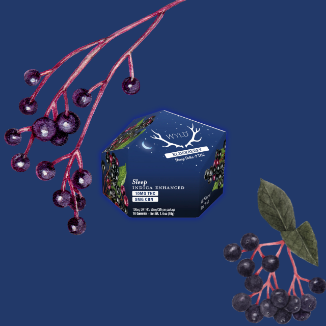 GUMMIES | ELDERBERY 2:1