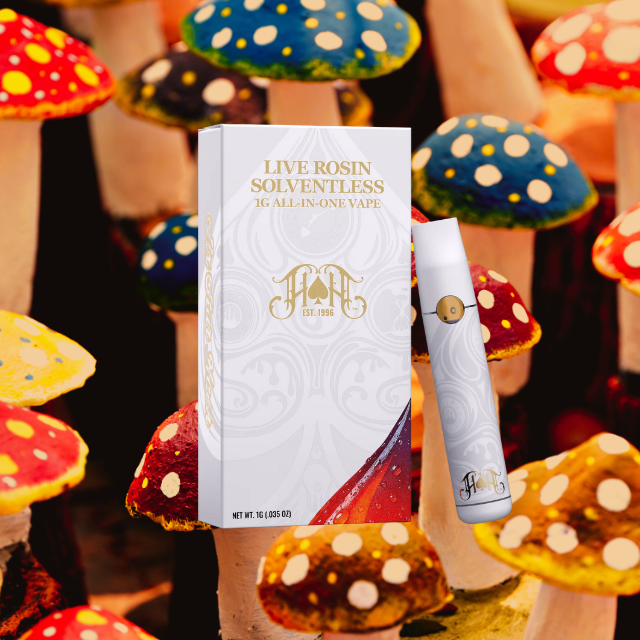 DISPOSABLE | GMO | LIVE ROSIN | 1G 