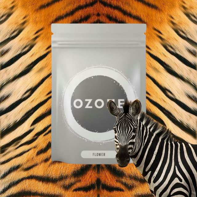 LITTLES | ANIMAL CAKE | 28G 