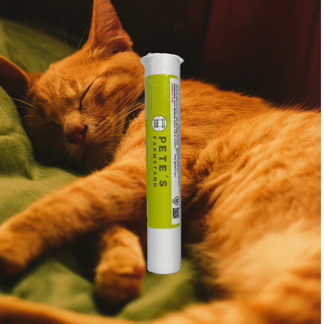 PREROLL | CAT NAP | 1G